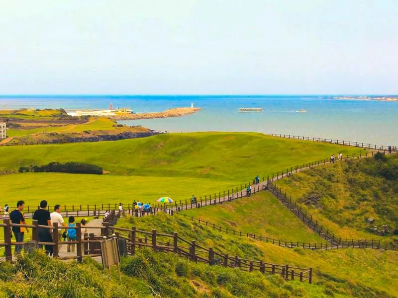Korea Tour And Travel: Yuk Liburan Bareng Callista!