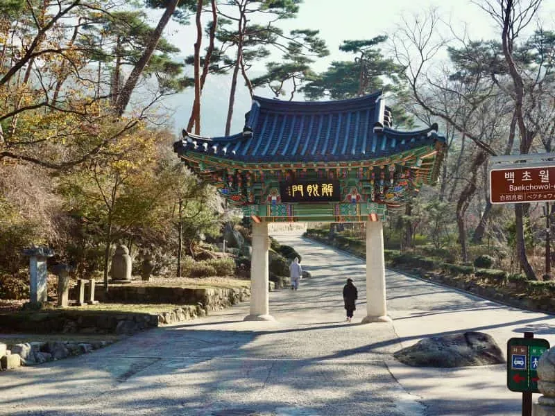 Korea Tour Package From Jakarta, Harga Mulai 10 Juta!