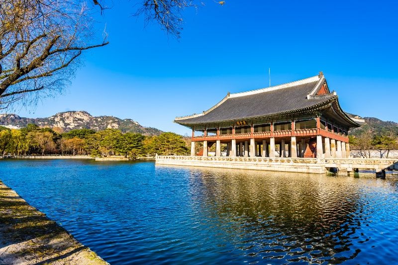 korea-tour_large.jpg