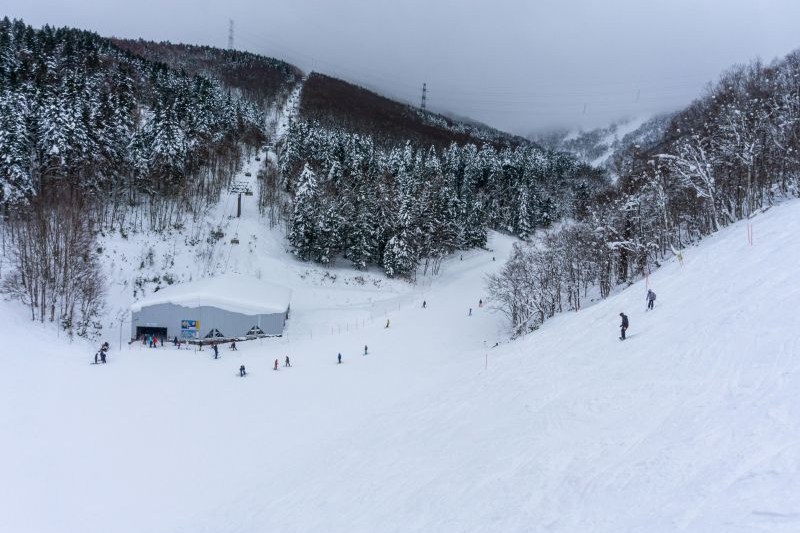 korea-winter-ski-tour-package-mulai-12jutaan_large.jpg