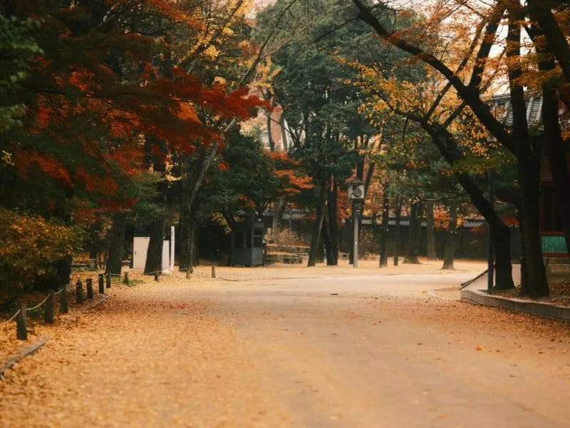 Liburan ke Seoul Ala Drama Korea: Bikin Iri!