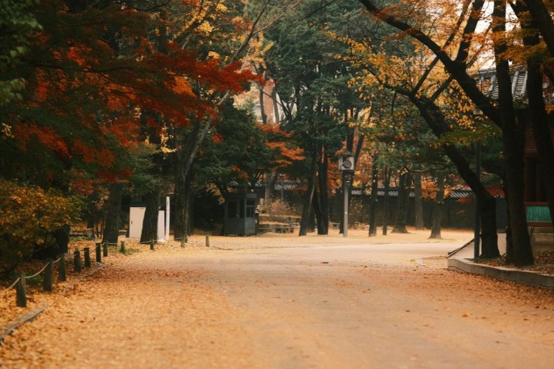 liburan-ke-seoul-ala-drama-korea_large.jpg