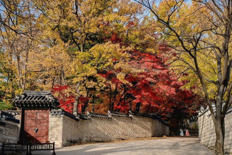 liburan-musim-gugur-di-korea_large.jpg