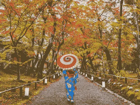 Momiji Gari Japan Autumn Festival- Destinasi & Tips!