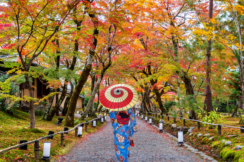 momiji-gari-japan-autumn-festival_large.png