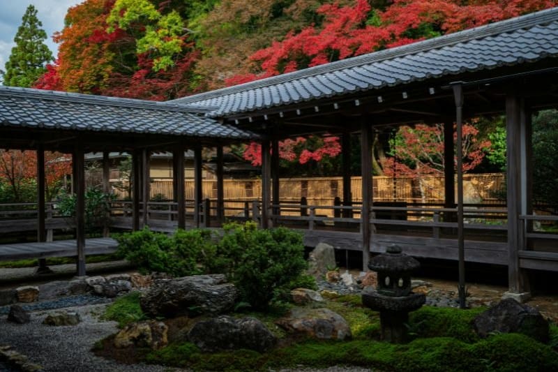 musim-gugur-di-jepang_large.jpg