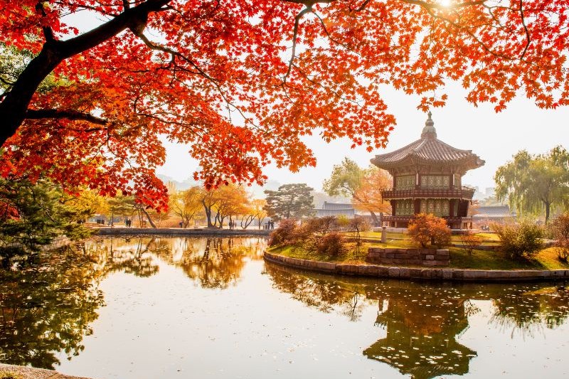 musim-gugur-di-korea_large.jpg