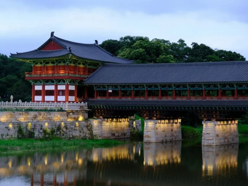 Nami Island Cafe Instagramable: Spot Foto Terbaik di Korea!