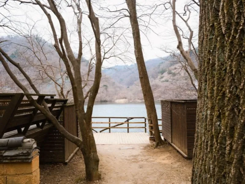 Nami Island Korea Selatan: Daya Tarik dan Cara Menuju