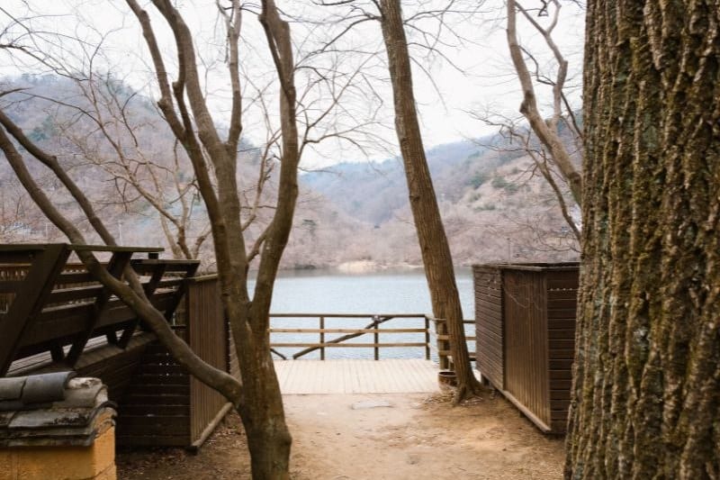 nami-island-korea-selatan_large.jpg