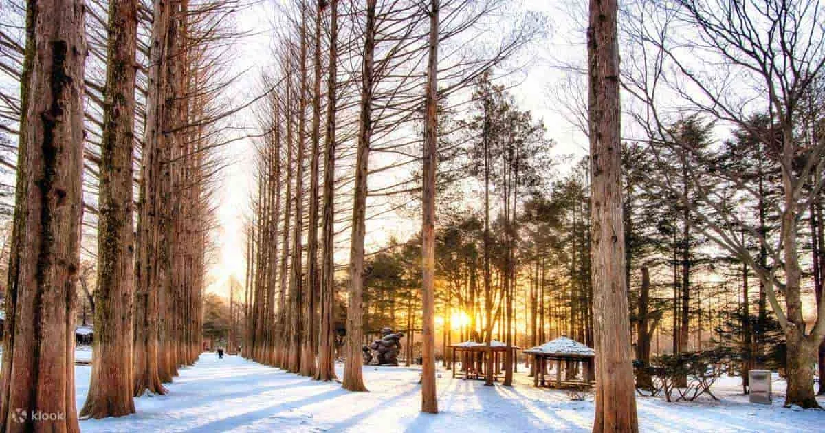 Nami Island South Korea Masih Menjadi Icon Tour Korea 2024