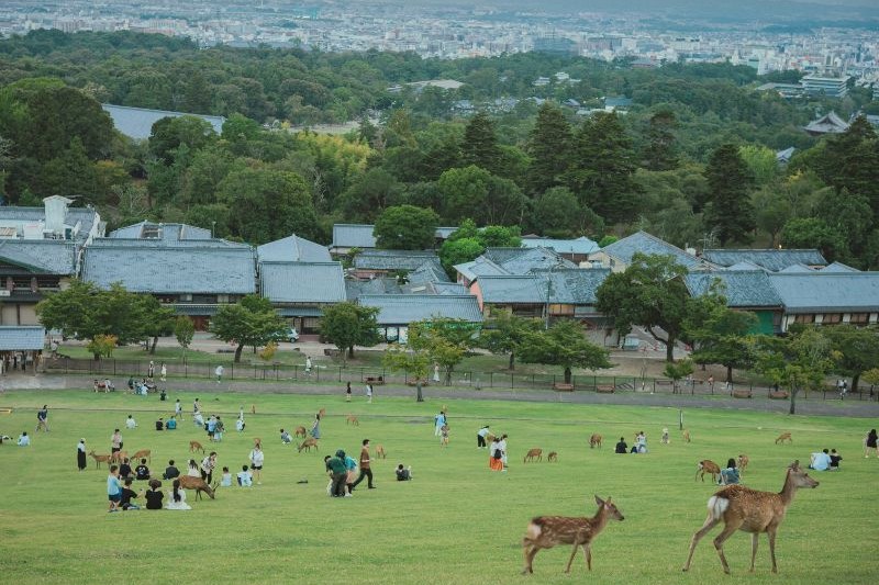 nara-jepang-tour_large.jpg