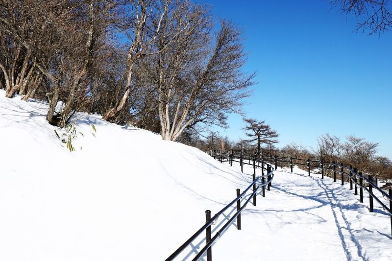oishi-park-winter_large.jpg