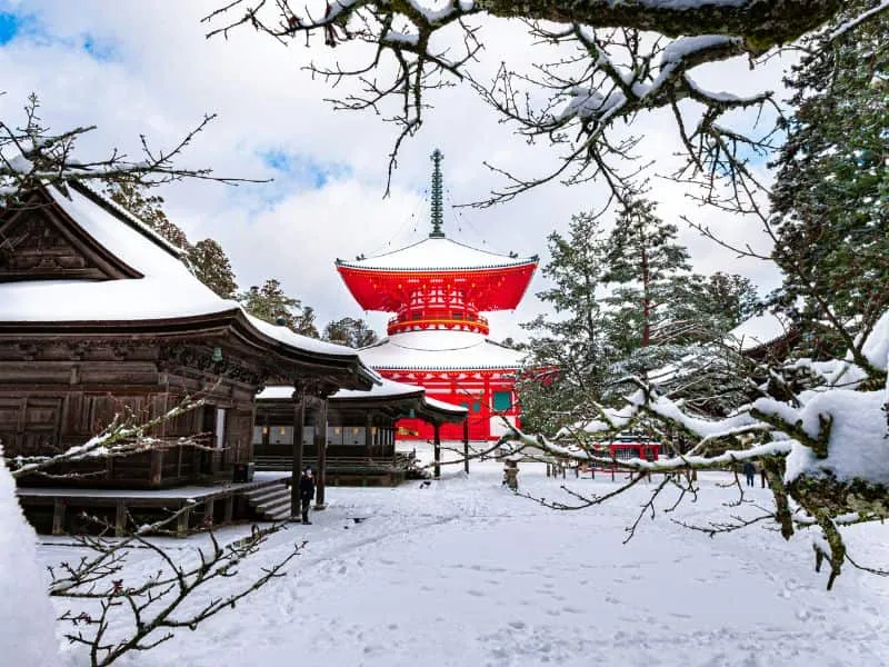 Open Trip Japan Desember 8H Winter Wonderland Callista Tour