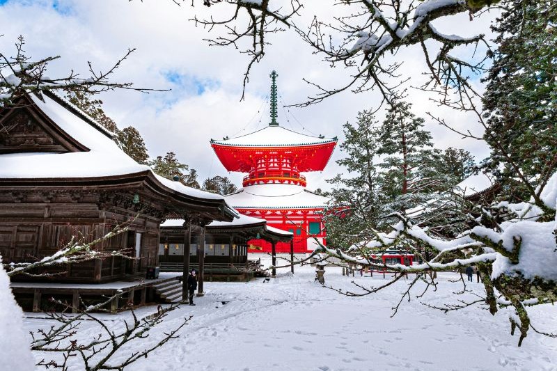 open-trip-japan-desember-8h-winter-wonderland_large.jpg