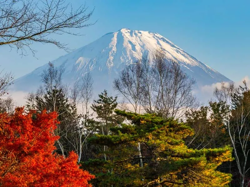 Promo Open Trip Jepang Juni 2025 - Harga Spesial Menanti!
