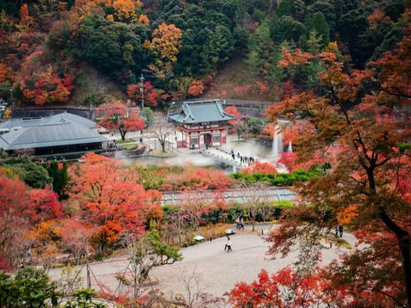 Open Trip Jepang Solo Traveler, Harga Mulai 10 Jutaan!