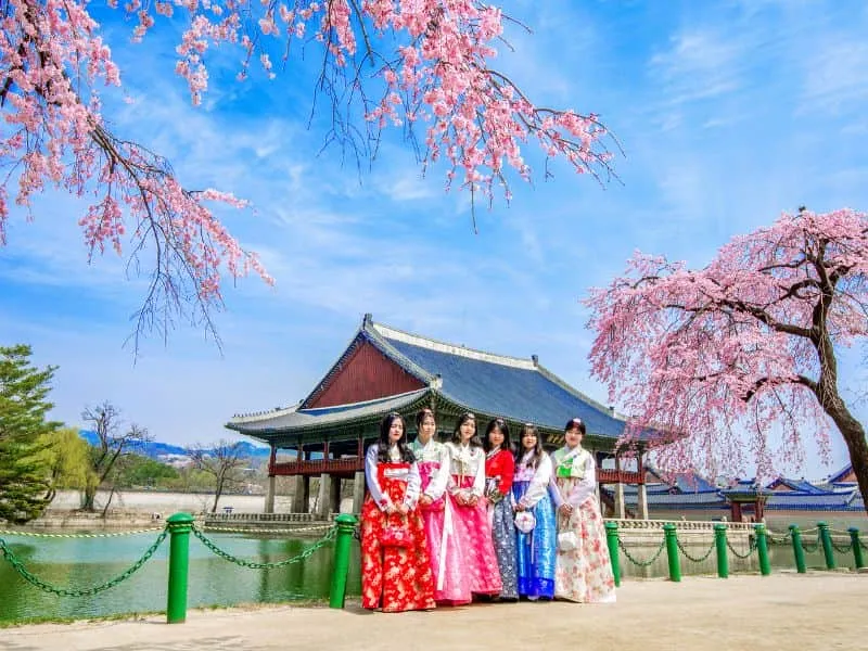 Open Trip Korea Selatan Halal Mei 2025: Liburan Seru!