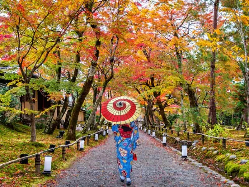 Promo Open Trip Musim Panas Jepang 2025 – Mulai 12Jt!