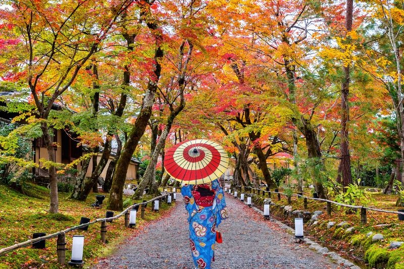 open-trip-musim-panas-jepang_large.jpg