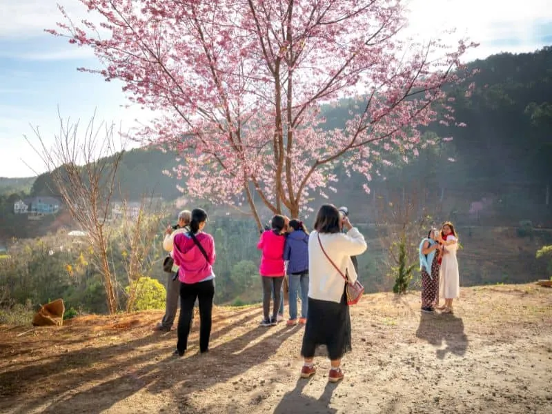 Pakaian Musim Semi di Korea - Panduan Outfit Liburan