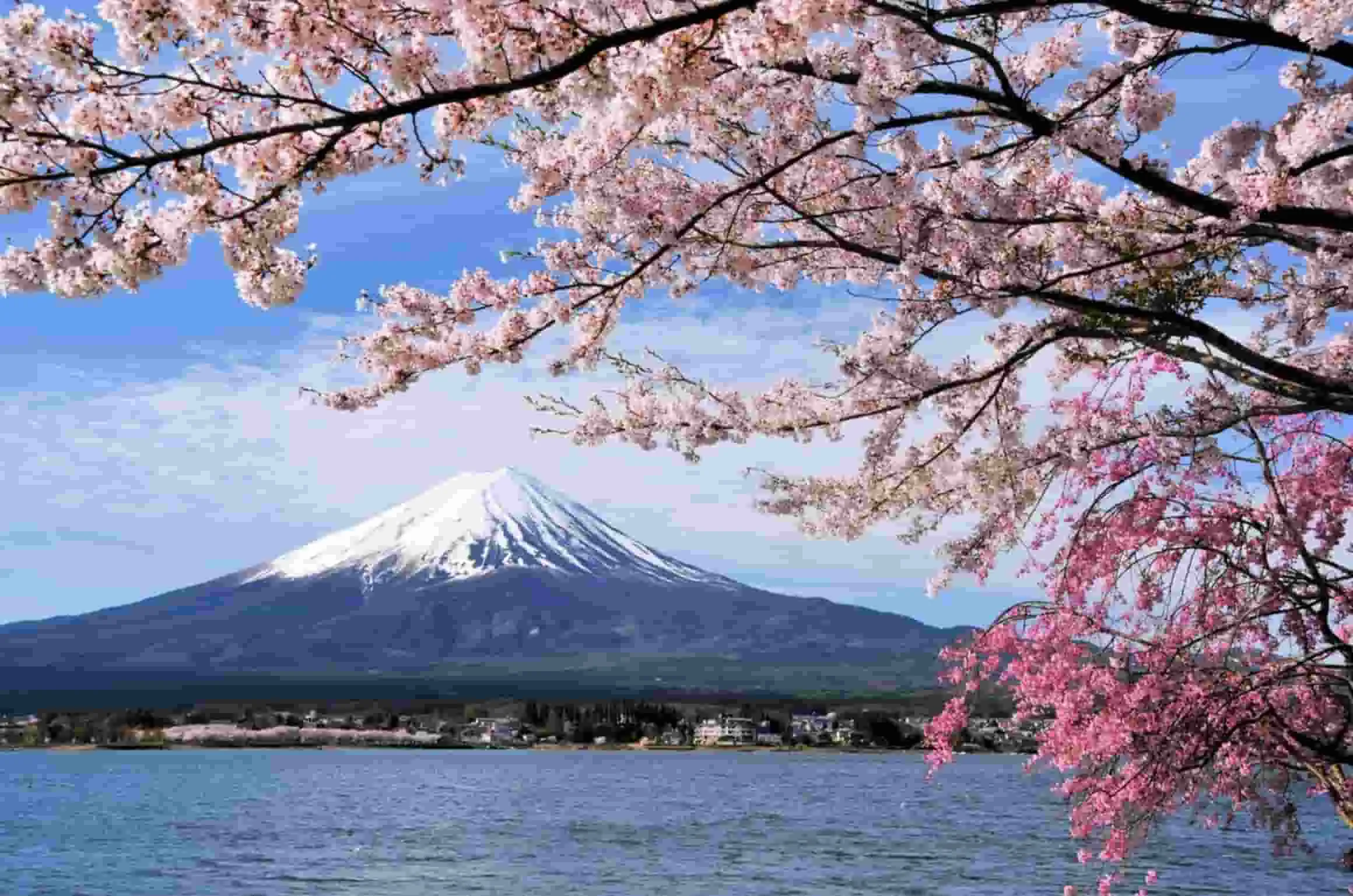 Paket Liburan Jepang: Destinasi Populer & Top Japan, Menarik Banget!