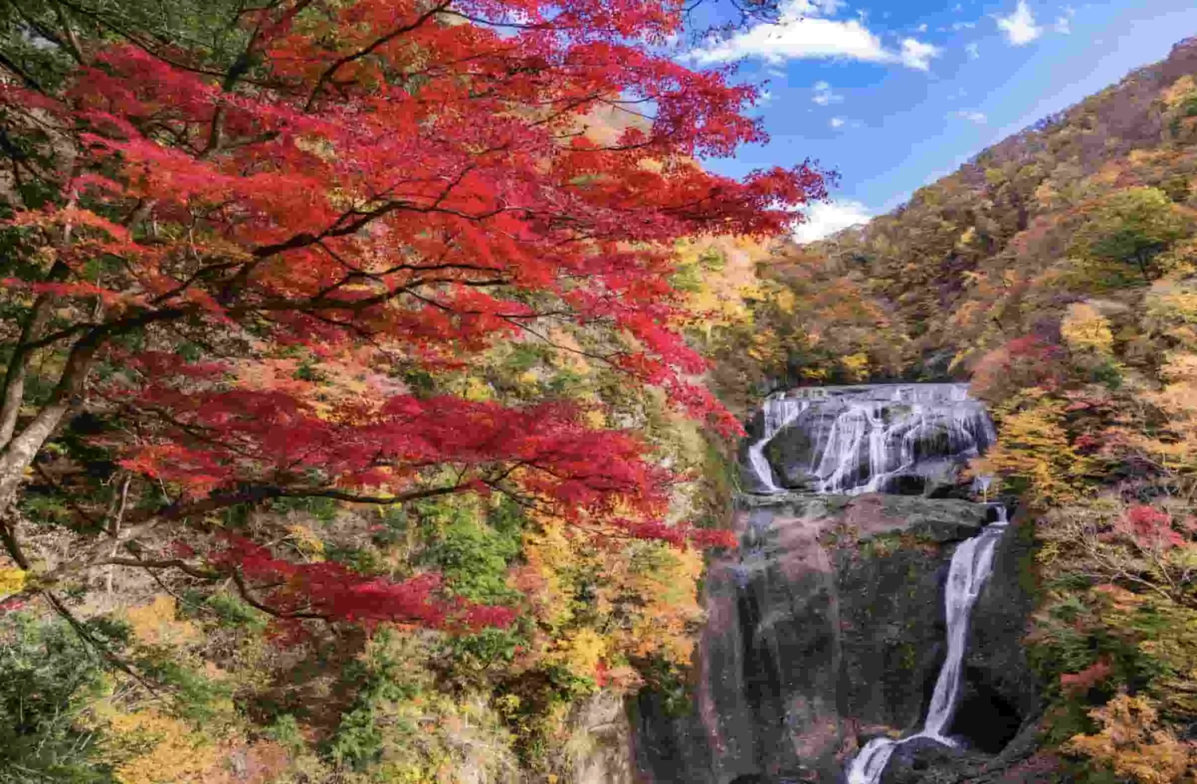 Paket Liburan Ke Jepang 2024: Destinasi Wisata Air Terjun Terkenal di Jepang, Populer Bangat!