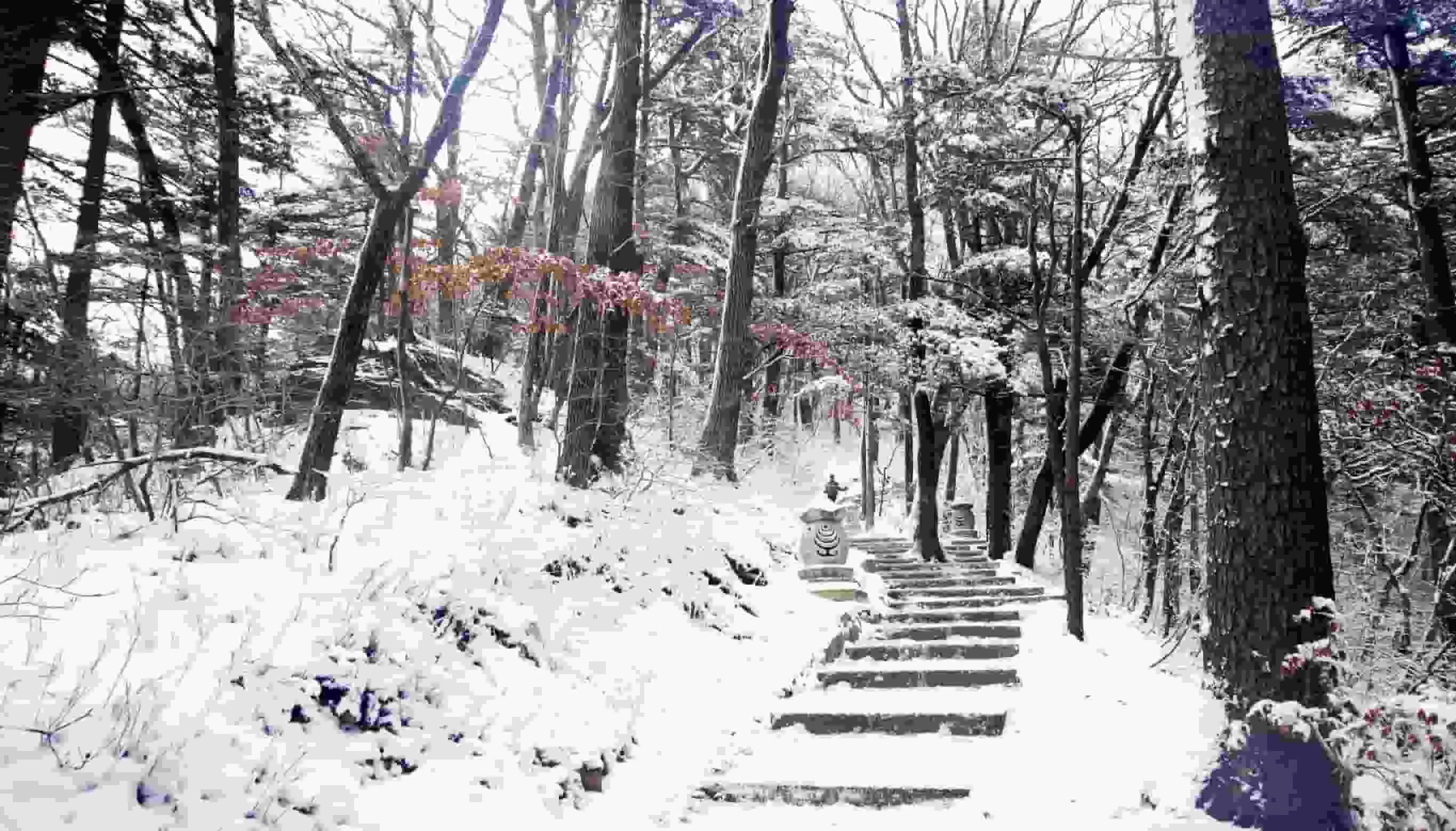 Paket Liburan Ke Korea: Jelajah 5 Wisata Gunung Di Korea, Sehat Selama Liburan!