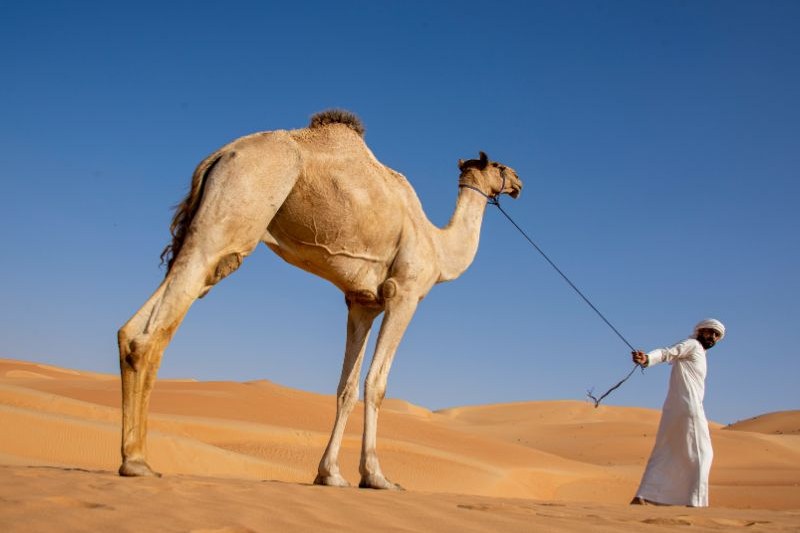 paket-liburan-keluarga-ke-dubai_large.jpg