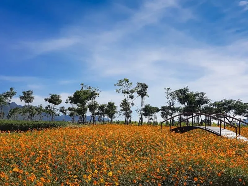 paket-tour-bangkok-khao-yai.webp
