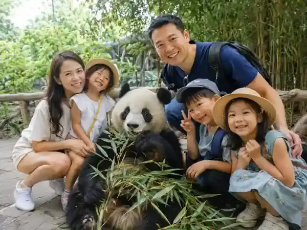 Gemas! Jam Makan Bayi Panda di Tour Chengdu China Murah