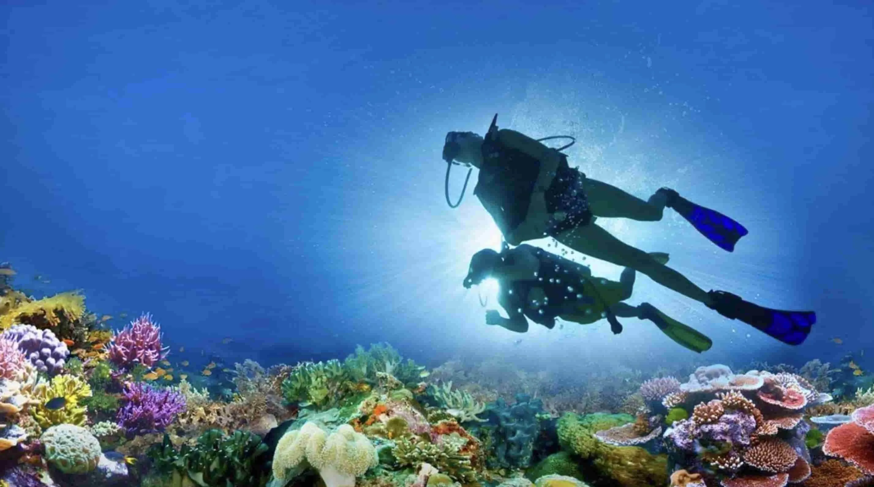 Paket Tour Halong Bay Vietnam: 6 Kegiatan Seru di Wisata Alam Halong Bay Vietnam