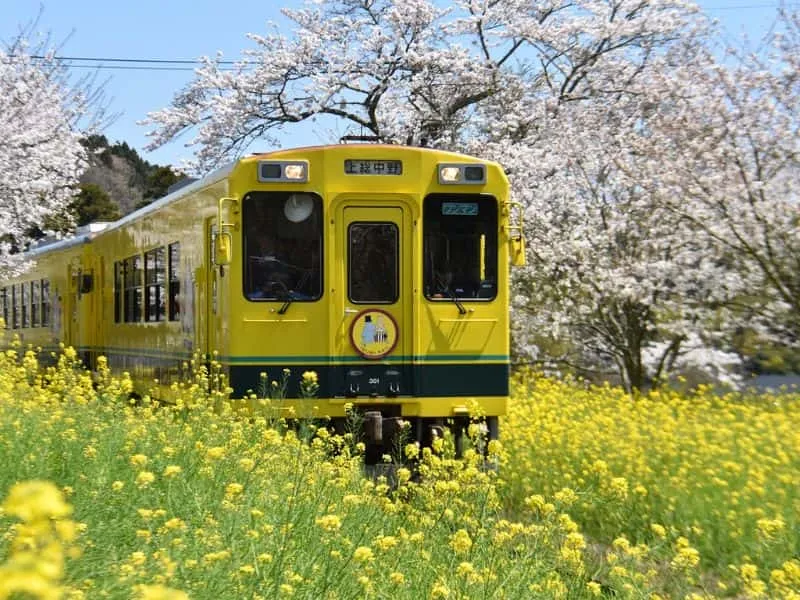 Paket Tour Jepang 2025 Murah, Destinasi Terbaru!