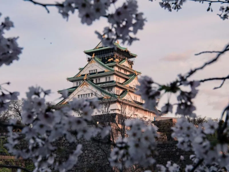 Paket Tour Jepang 2025 Bersama Callista, Booking Sekarang!
