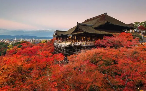paket-tour-jepang-2026-musim-gugur.webp