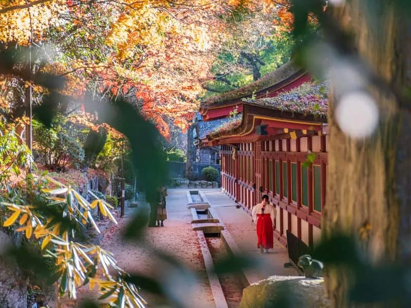 Paket Tour Jepang All In Murah, Mulai 14 Juta!