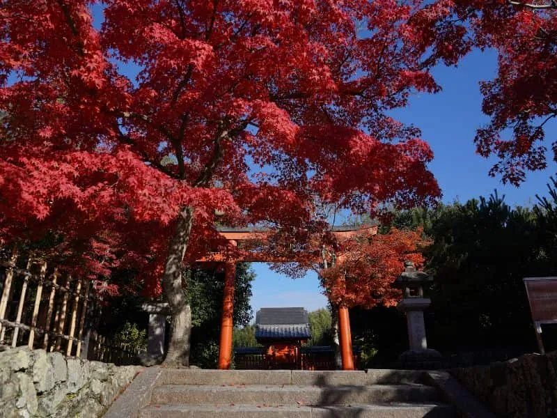 Paket Tour Jepang Budget 15 Juta: Tokyo, Kyoto &amp; Gunung Fuji!