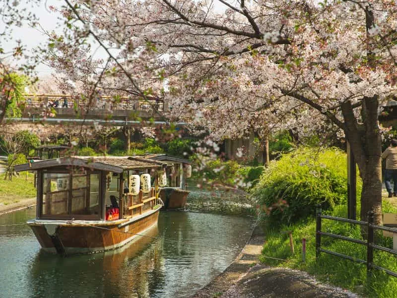 Paket Tour Sakura Jepang &amp; Wisata Musim Semi 2025