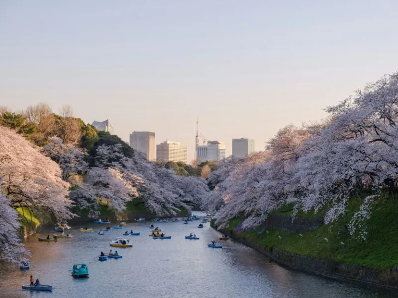 Seru! Paket Tour Jepang Diskon + Itinerary Lengkap, Yuk Liburan!