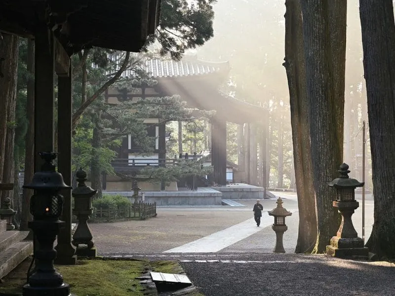 Paket Tour Jepang Musim Semi 2025, Harga Mulai 20 Jutaan!