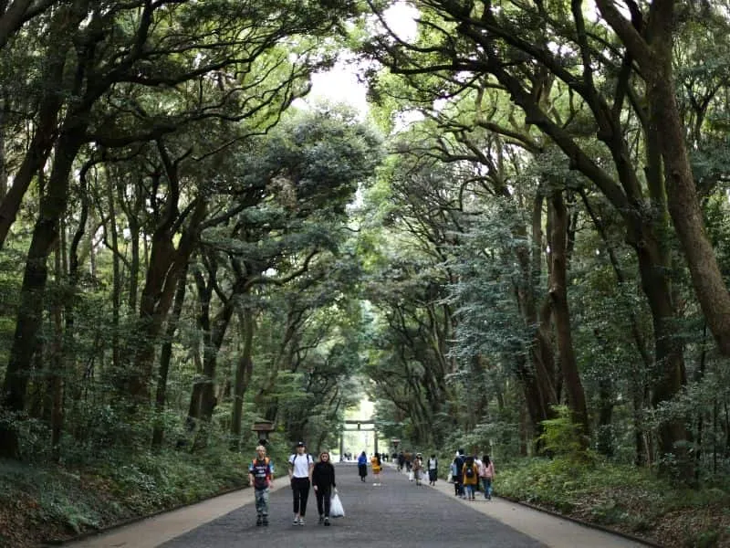 Paket Tour Jepang Tahun Baru Hatsumode di Kuil, Mulai 18 Jutaan!