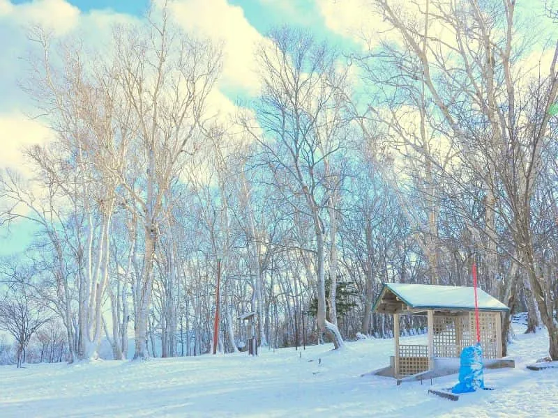 Liburan Impian: Paket tour Jepang Winter Wonderland Terbaik untuk Kamu!