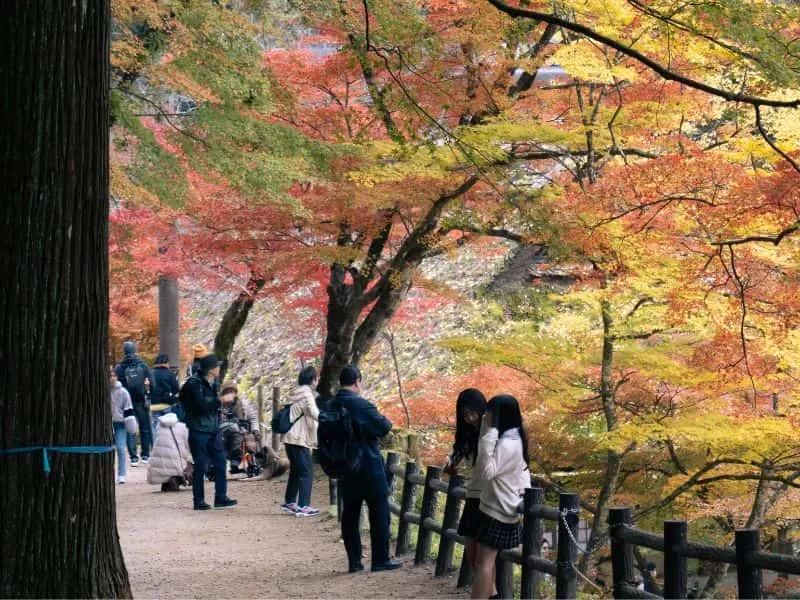 Paket Tour Ke Jepang 7D6N, Harga Mulai 11 Jutaan!