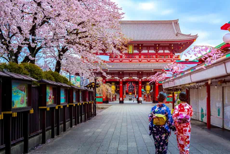 Paket Tour ke Jepang di Akhir Tahun, Itinerary Lengkap di Negeri Sakura