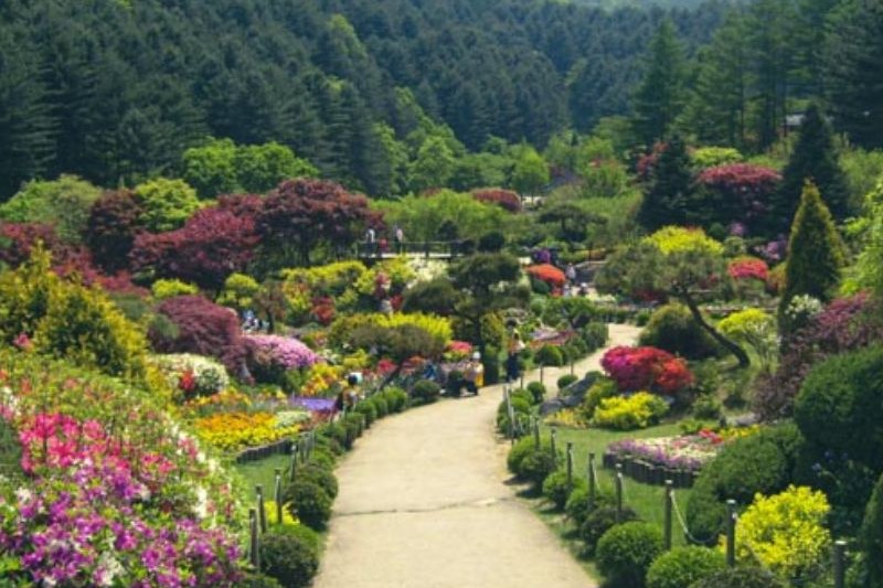 paket-tour-korea-10-hari-2024_large.jpg