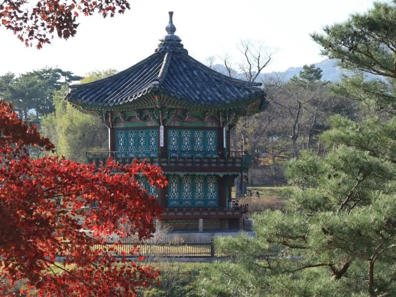 Paket Tour Korea Cherry Blossom 2025 – Mulai 9 Juta!