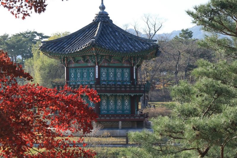 paket-tour-korea-cherry-blossom-2025_large.jpg