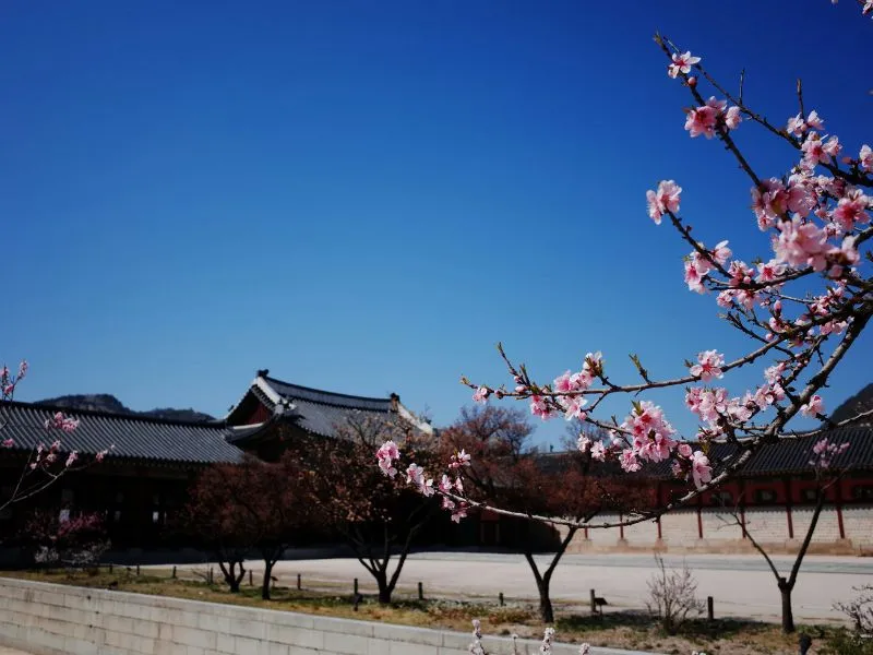 Paket Tour Korea Gyeongbokgung, Harga Mulai 10 Jutaan!