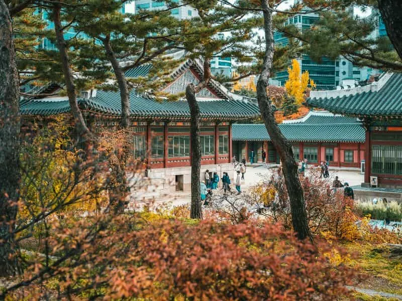 Liburan Bareng Si Kecil? Cek Paket Tour Korea Keluarga Dengan Anak Kecil Disini!