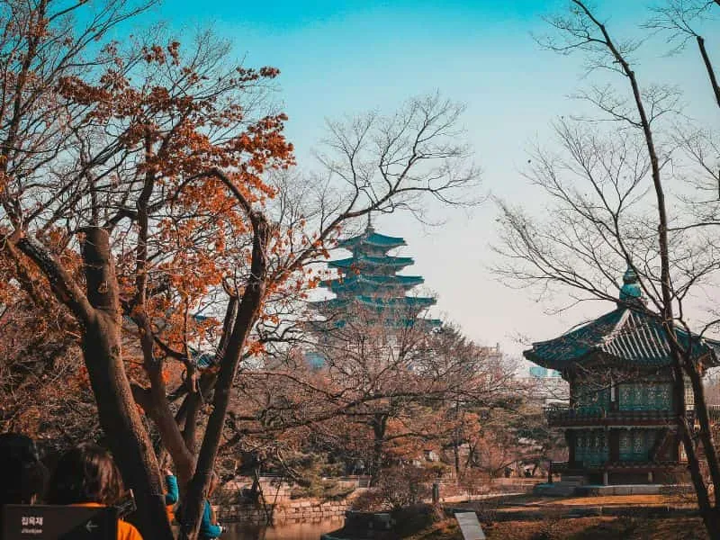 Paket Tour Korea Lengkap: Jelajahi Seoul, Busan, & Jeju!
